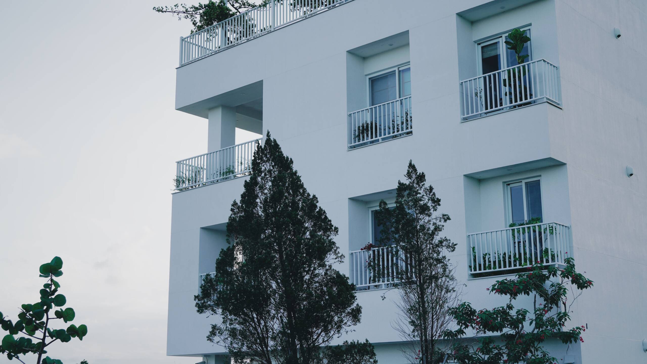 Processed with VSCO with a6 preset